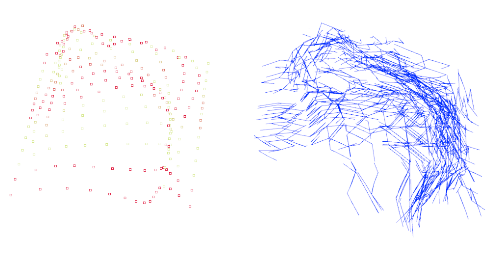 curvature fractal